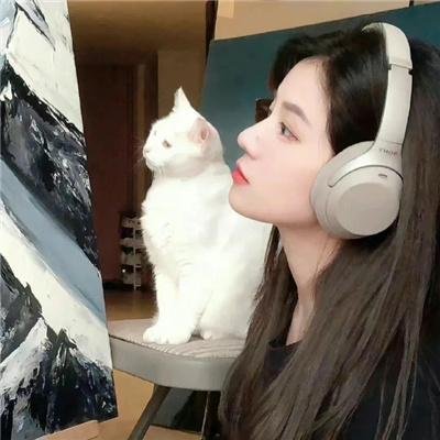 情圣来了